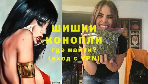 соль ск Лиски