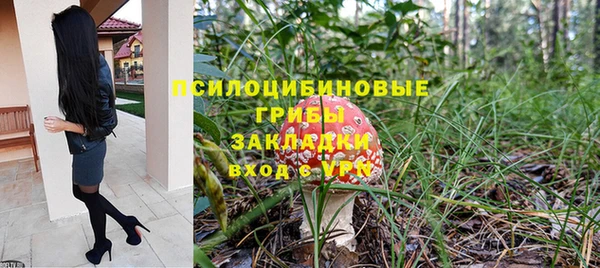 соль ск Лиски