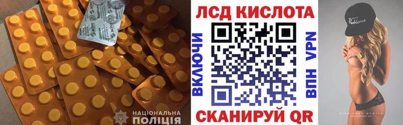 купить наркотики цена Ленинградская нарко площадка формула Лсд 25 экстази ecstasy