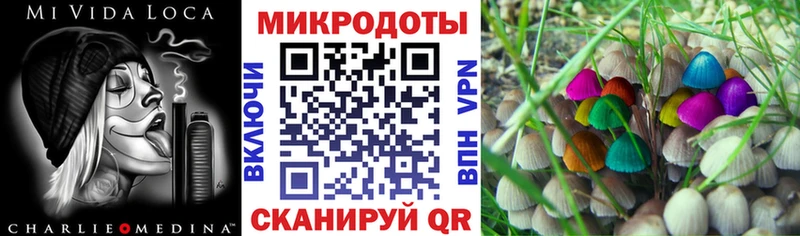 Псилоцибиновые грибы Psilocybine cubensis  Ленинградская 